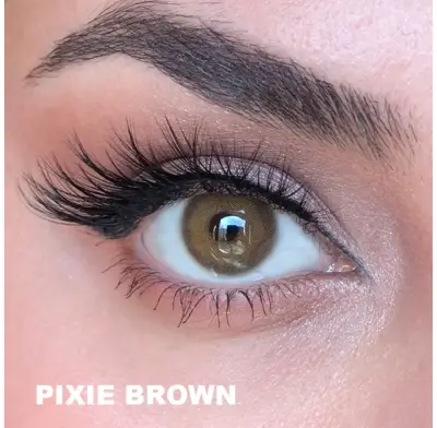 Labella Pixie Serisi Pixie Brown (3 Aylık) - 1